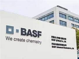 巴斯夫中国有限公司